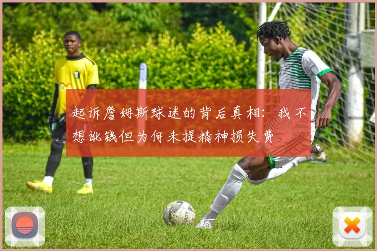 起诉詹姆斯球迷的背后真相：我不想讹钱但为何未提精神损失费