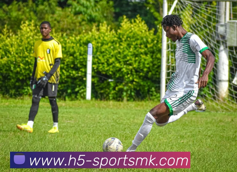 MK体育APP 高清赛事图